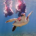 another-show-from-our