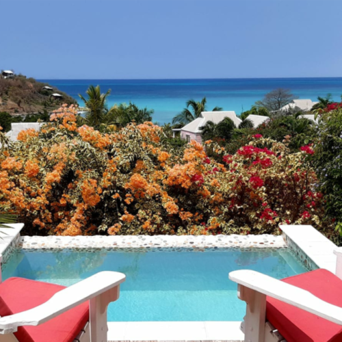 deluxe-pool-suite-new-view-shot-1024x684
