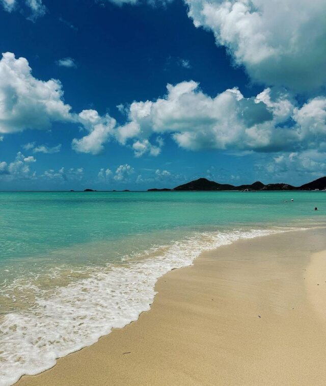 A7 ココバット A TOURIST GUIDE TO COCOBAT+MICH A7 Cocobat / A